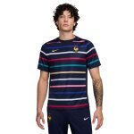 Maillot prematch france dri - fit academy pro 2024 / 25 Maillot prematch france dri - fit academy pro 2024 / 25