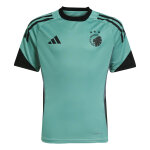 Maillot training vapor enfant fc copenhague 2025 / 26