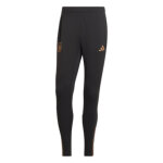 Pantalon d'entranement allemagne 2022 / 23