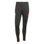 Pantalon d'entranement bayern munich eu 2025 / 26