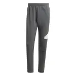 Pantalon de jogging adidas future icons bos