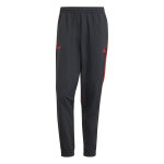 Pantalon de survêtement adidas predator 30th Pantalon de survêtement adidas predator 30th