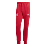 Pantalon de survtement bayern munich dna 2024 / 25