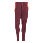 Pantalon de survtement bayern munich european tiro 2024 / 25