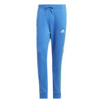 Pantalon de survtement italie dna