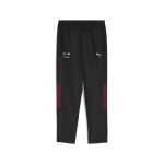 Pantalon de survtement puma bmw mms sds 2. 0