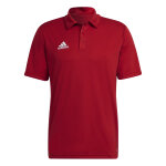 Polo adidas entrada 22