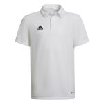 Polo enfant adidas entrada 22