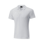 Polo mizuno shizuoka