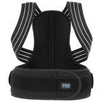 Protection dorsale one fitness kp207 Protection dorsale one fitness kp207