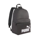 Sac  dos puma phase