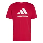 T - shirt ajax amsterdam seasonal graphic