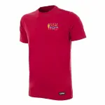 T - shirt champions d'europe espagne 2012