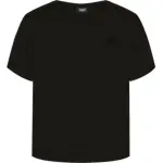 T - shirt femme le coq sportif essential