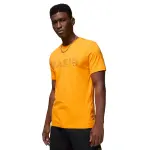 T - shirt psg x jordan 2022 / 23