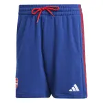 Short arsenal dna 2025 / 26