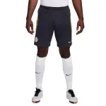 Short chelsea strike 2023 / 24