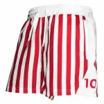 Short danemark fan 2020 swim