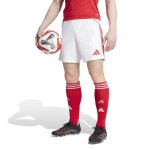 Short domicile arsenal 2025 / 26