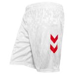 Short domicile enfant danemark 2024 / 25