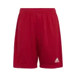 Short enfant adidas entrada 22