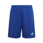 Short enfant adidas entrada 22