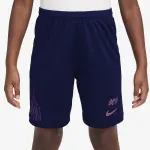 Short enfant nike dri - fit academy25