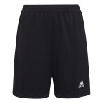 Short d'entranement enfant adidas entrada 22