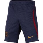Short d entraînement enfant psg strike 2023 / 24 Short d entraînement enfant psg strike 2023 / 24
