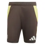 Short d'entra�nement juventus turin tiro 2024 / 25