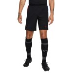 Short extérieur fc barcelone 2024 / 25 Short extérieur fc barcelone 2024 / 25