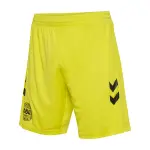 Short du gardien de but danemark 2024