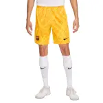 Short de gardien fc barcelone 2024 / 25