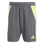 Short de gardien manchester united 2025 / 26