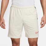 Short nike dri - fit