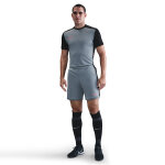Short nike dri - fit