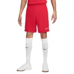 Short nike dri - fit academy