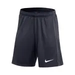 Short nike dri - fit academy pro 24