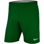 Short nike dri - fit laser iv
