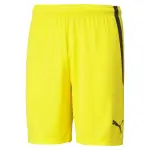 Short puma team liga