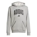 Sweatshirt � capuche enfant adidas essentials collegiate typography