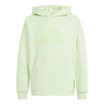 Sweatshirt  capuche enfant adidas future icons logo