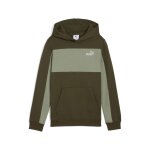 Sweatshirt  capuche enfant puma essentials block small logo