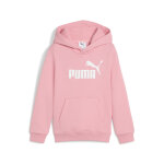 Sweatshirt à capuche enfant puma logo essentials Sweatshirt à capuche enfant puma logo essentials