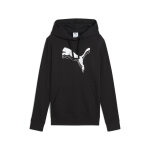 Sweatshirt  capuche femme puma metallic