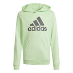 Sweatshirt enfant adidas big logo essentials