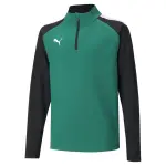 Sweatshirt enfant puma team liga