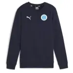 Sweatshirt enfant puma teamgoal casuals