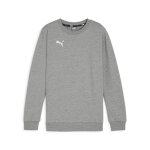 Sweatshirt enfant puma teamgoal casuals Sweatshirt enfant puma teamgoal casuals