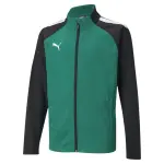 Veste enfant puma team liga training